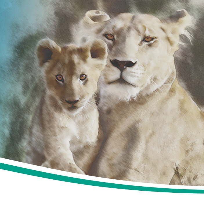 lionness and cub as header image for Lionhearted: Emergencies